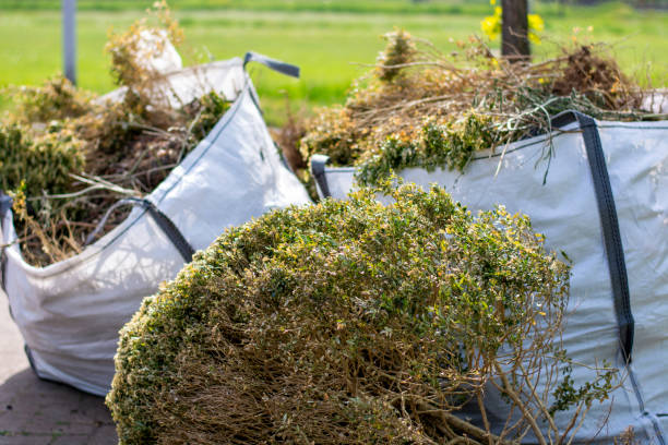 Best Trash Removal Near Me  in Woodbury, NJ